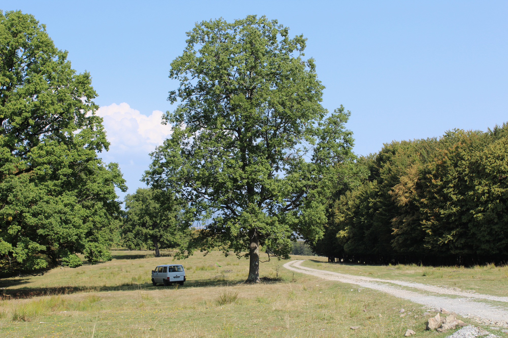 vanlife france